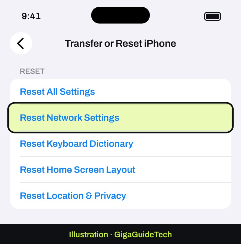 Illustration: Transfer or Reset iPhone > Reset > Reset Network Settings