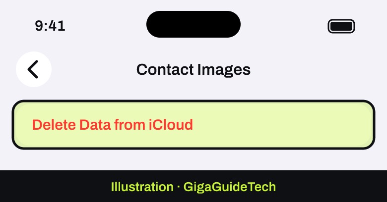 Illustration: iOS/iPadOS 26 or later: Storage > Contact Images > Delete Data from iCloud
