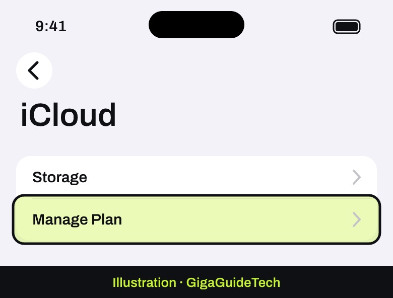 Illustration: Need more space instead: Settings > [your name] > iCloud > Manage Plan