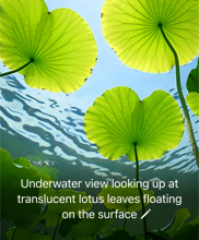 Apple Intelligence visual intelligence describing lotus leaves on an iPhone