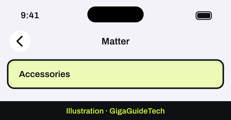 Illustration: Settings > General > Matter > Accessories