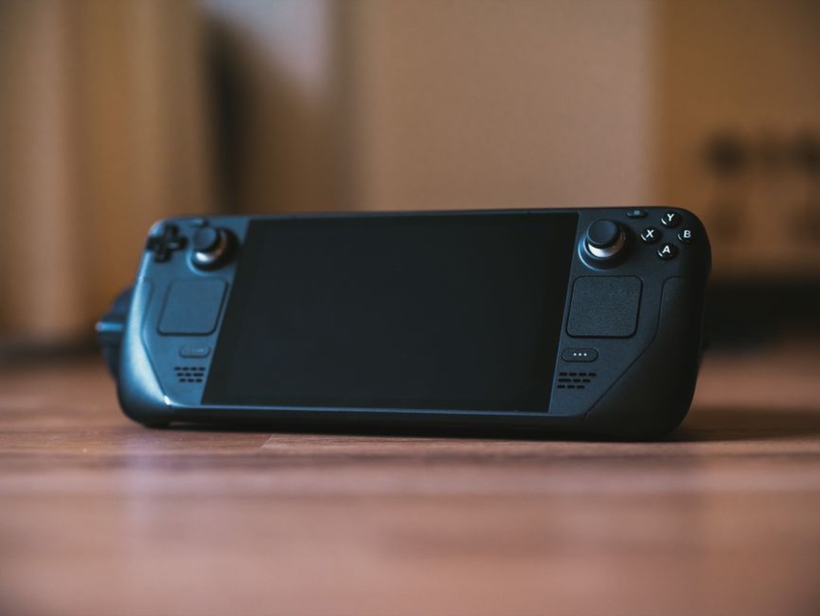 A handheld gaming PC