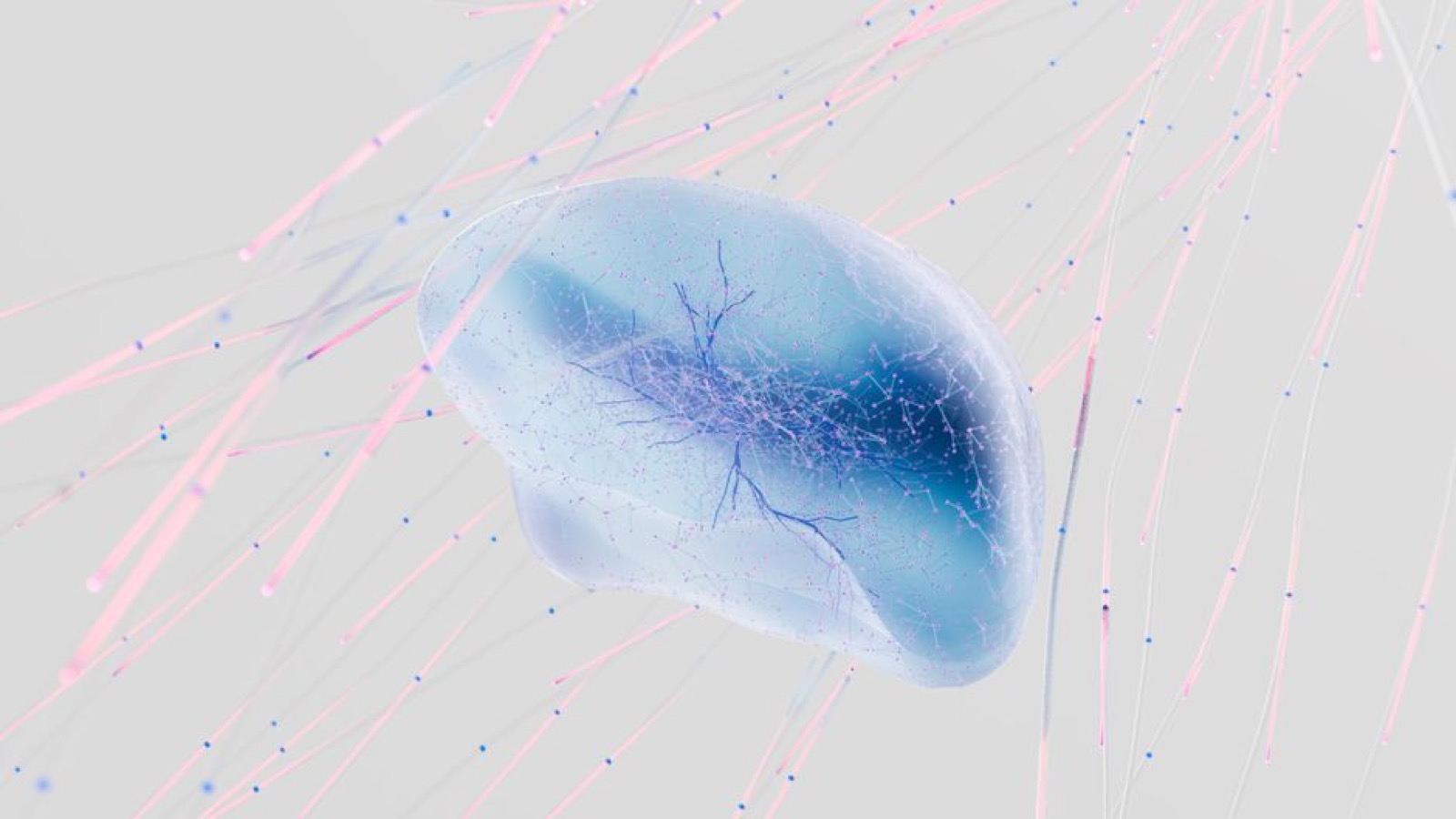 A 3D rendering of a neural network