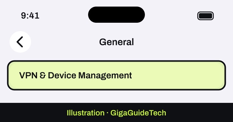 Illustration: Settings > General > VPN & Device Management
