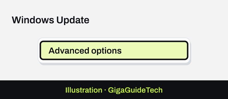 Illustration: Windows Update > Advanced options