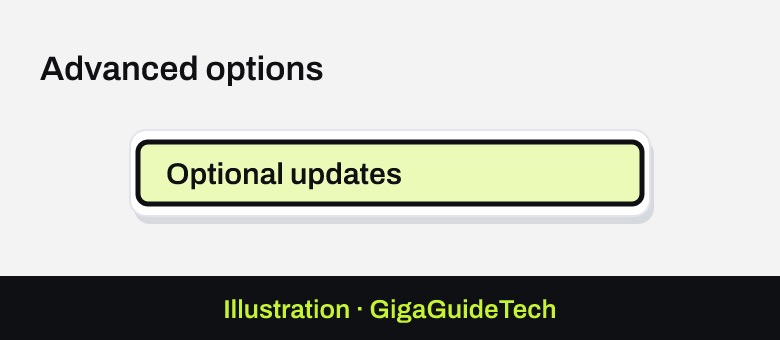 Illustration: Advanced options > Optional updates