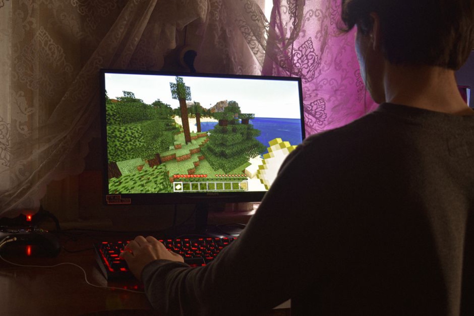 A young man playing a video game on a PC