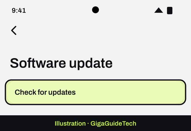 Illustration: Settings > Software update