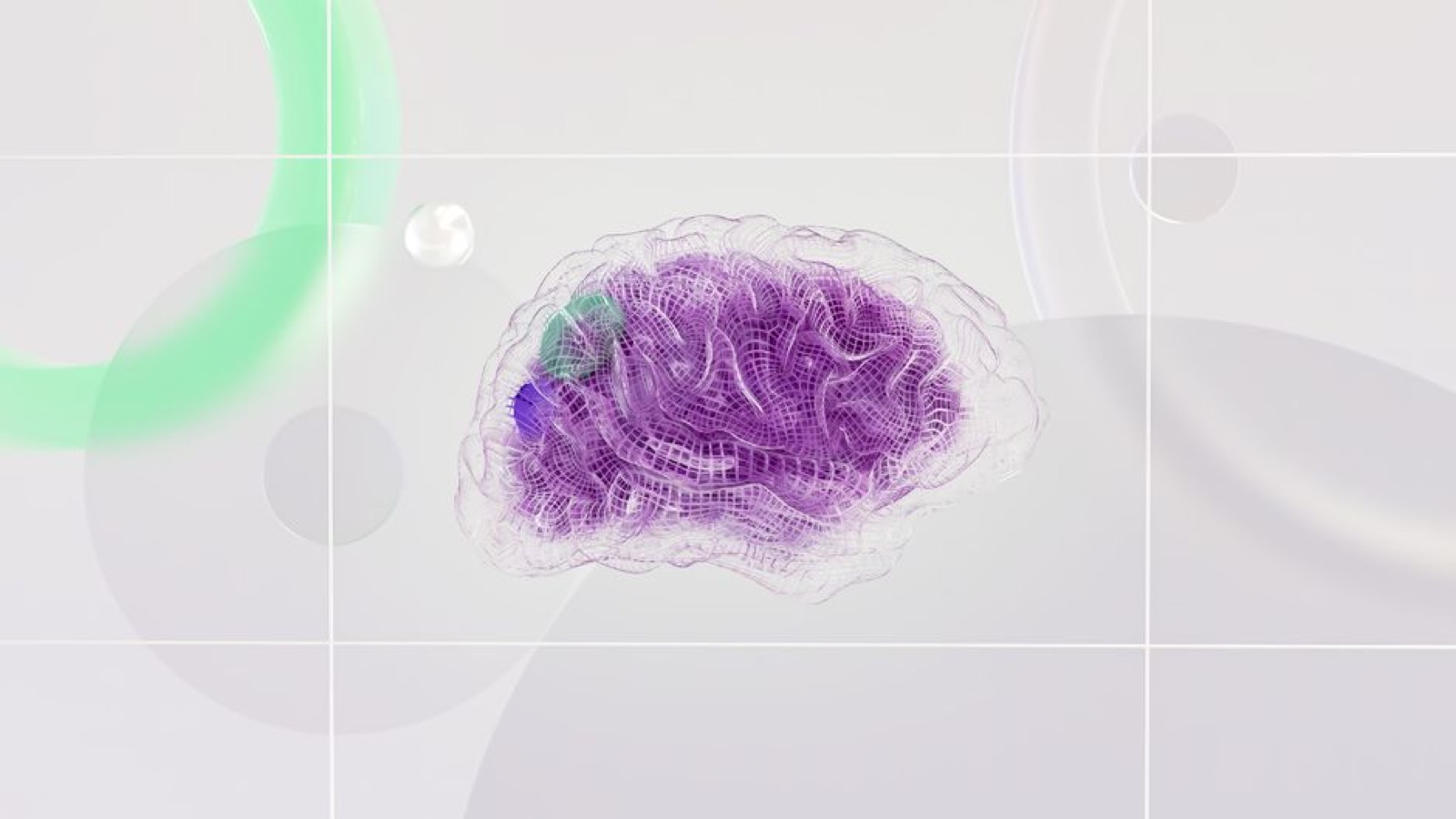 A 3D rendering of a digital brain
